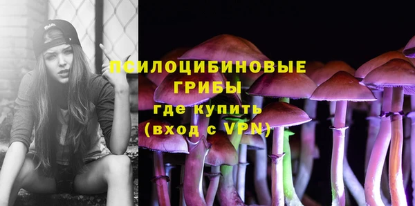 прущие крисы Абинск