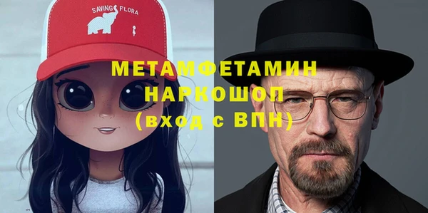 ГАЛЛЮЦИНОГЕННЫЕ ГРИБЫ Горняк