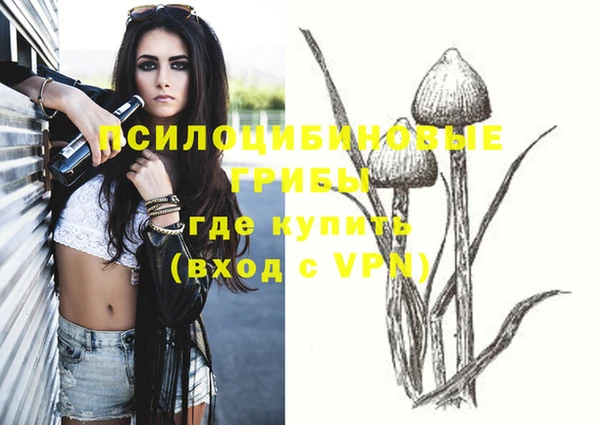 прущие крисы Абинск