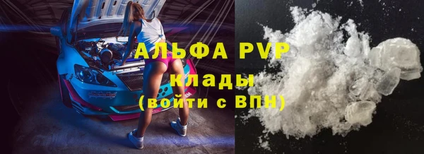 прущие крисы Абаза