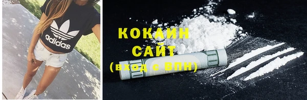 МДПВ Каменка